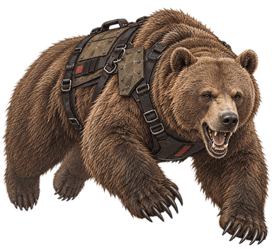 Orso da guerra